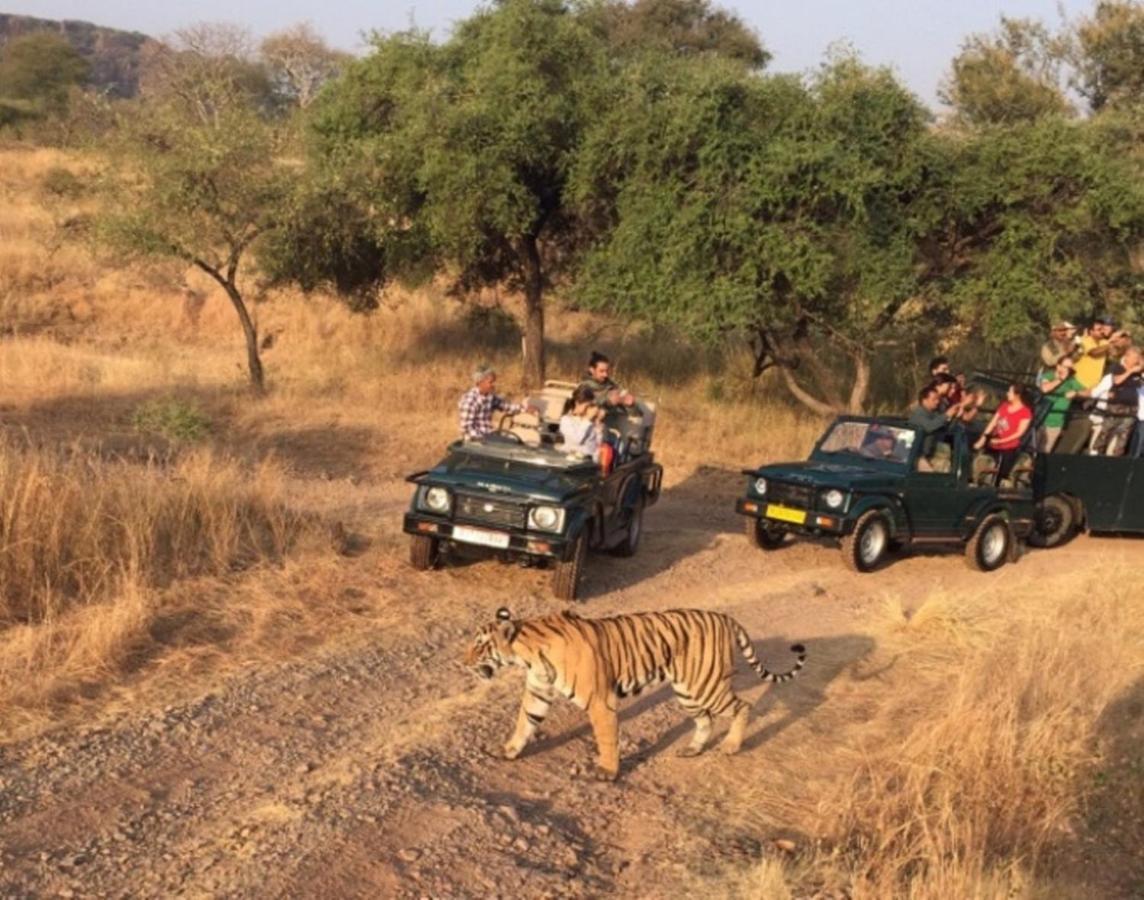 The Jungle Camp - Wildlife Resort Sawai Madhopur Zewnętrze zdjęcie