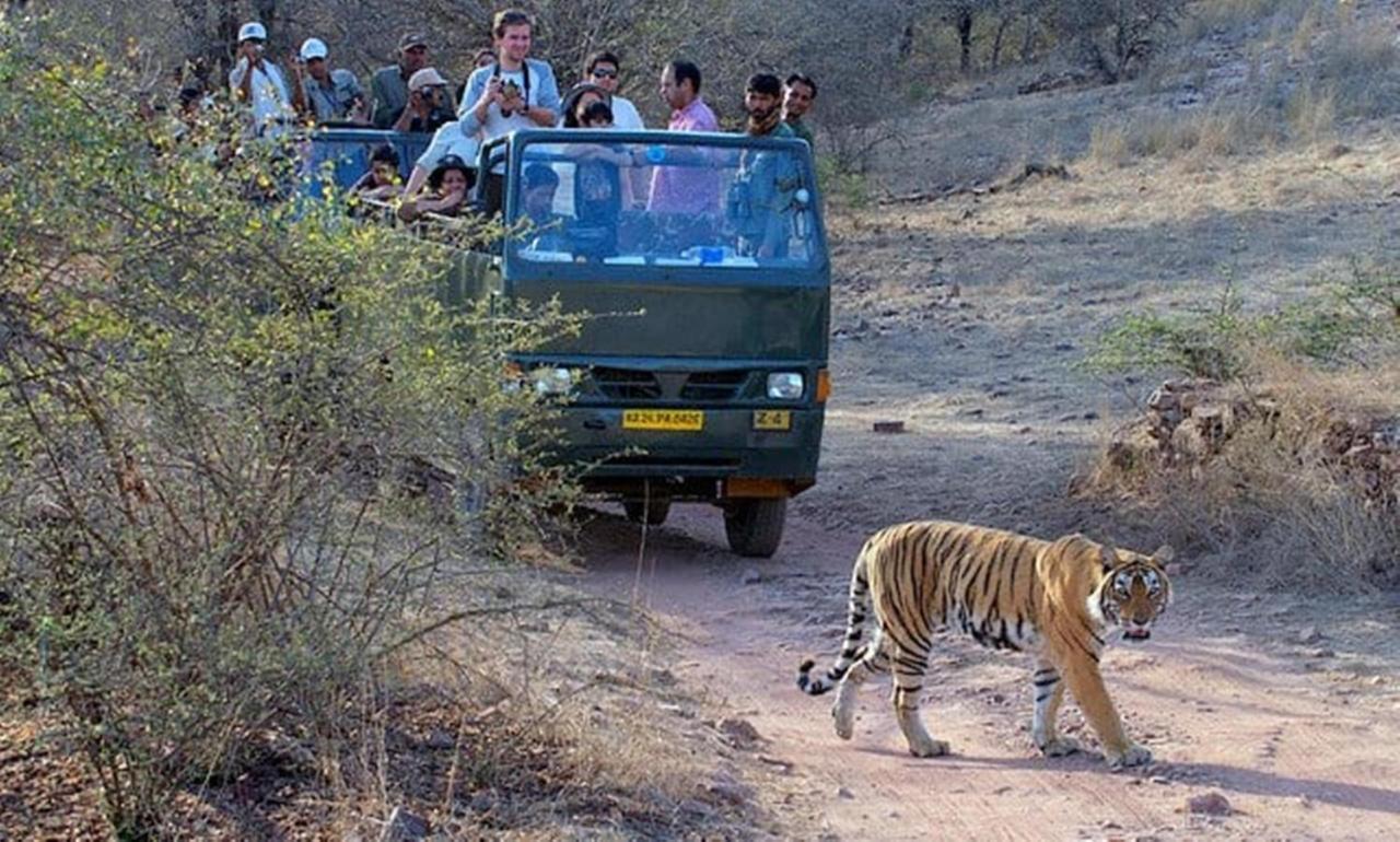 The Jungle Camp - Wildlife Resort Sawai Madhopur Zewnętrze zdjęcie