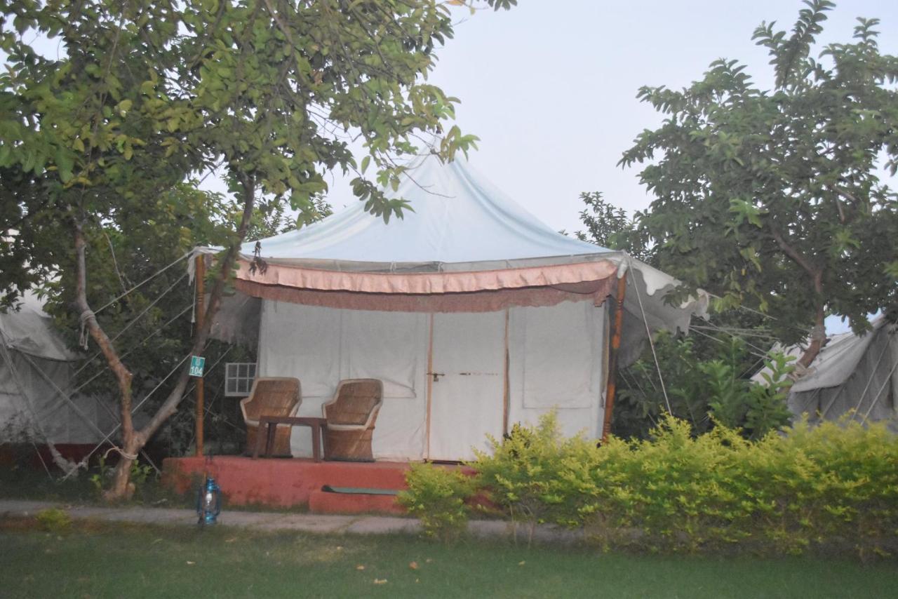 The Jungle Camp - Wildlife Resort Sawai Madhopur Zewnętrze zdjęcie